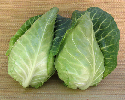Pointed Sweetheart Cabbage - Conehead