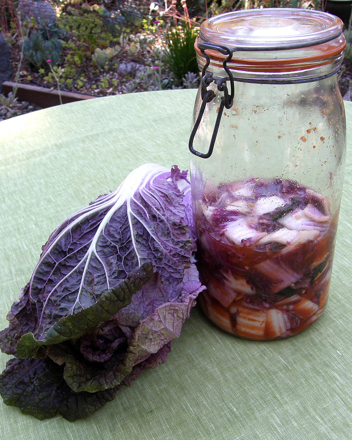 Napa Cabbage - Purple Express