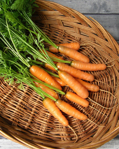 Dutch Baby Carrots - Adelaide