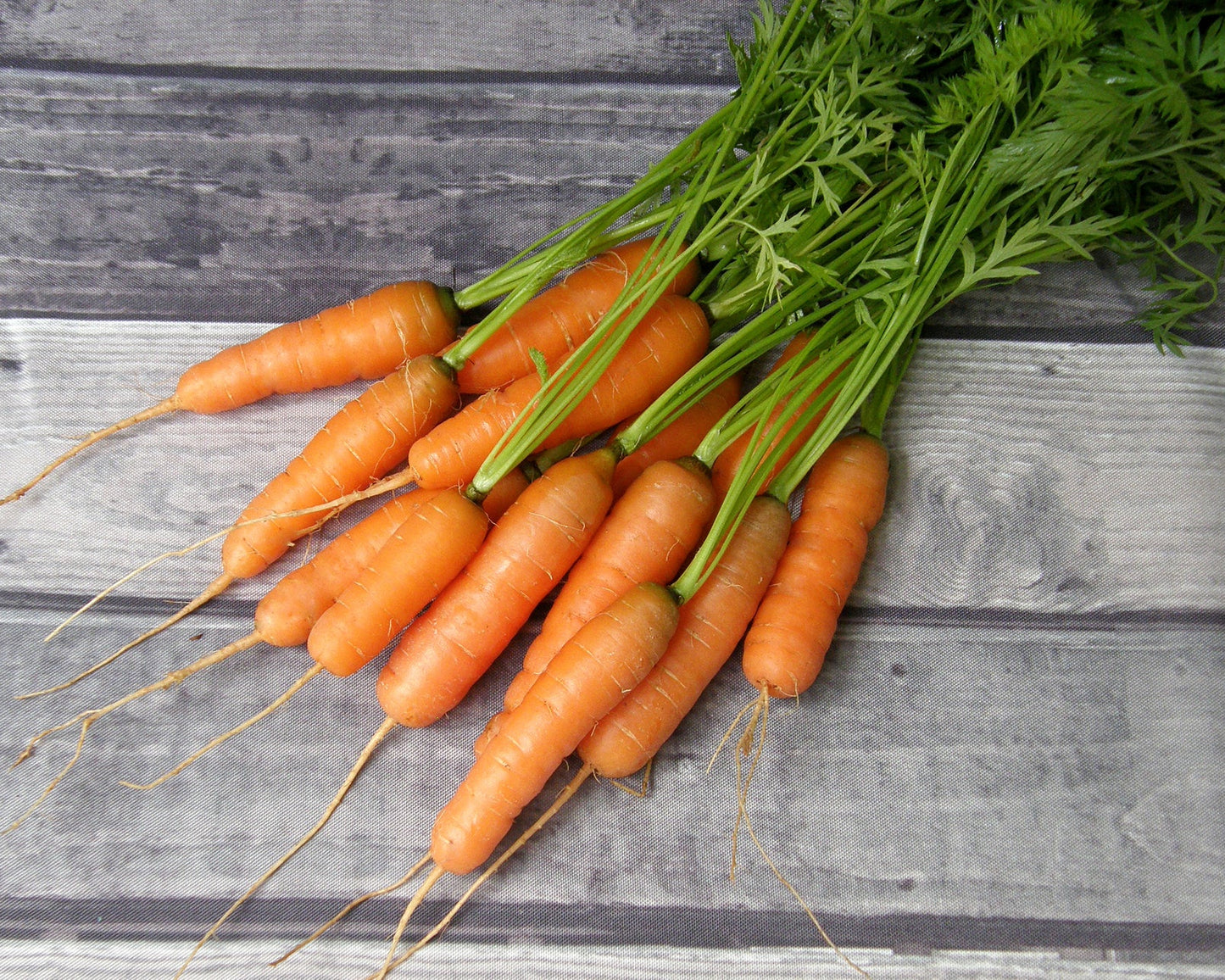 Dutch Baby Carrots - Adelaide