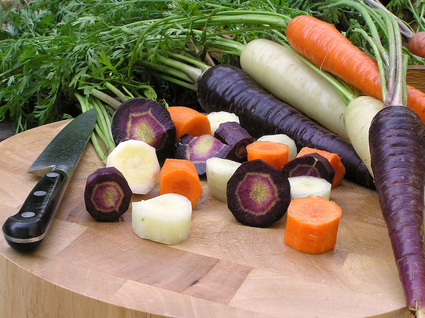 Tricolor Carrots - Circus Circus