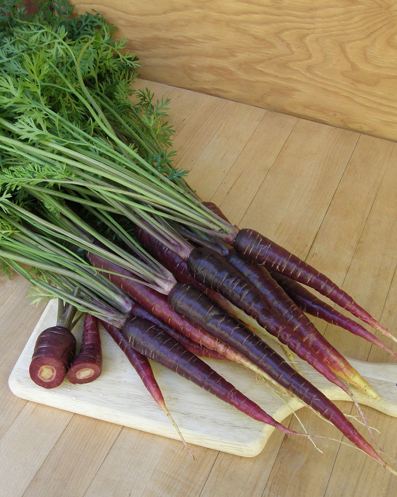 Rainbow Carrots - Purple Sun