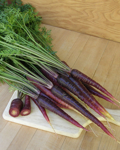 Rainbow Carrots - Purple Sun