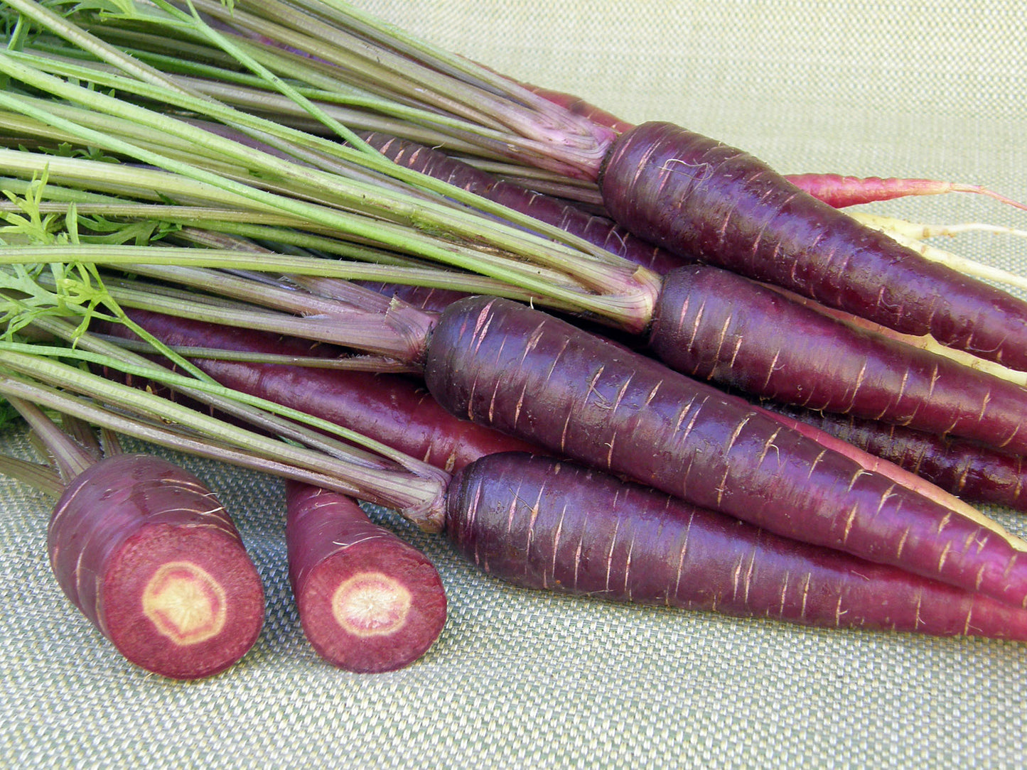 Rainbow Carrots - Purple Sun