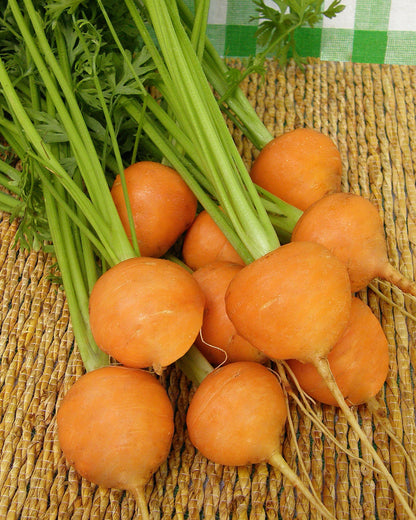Round Baby Carrots - Romeo