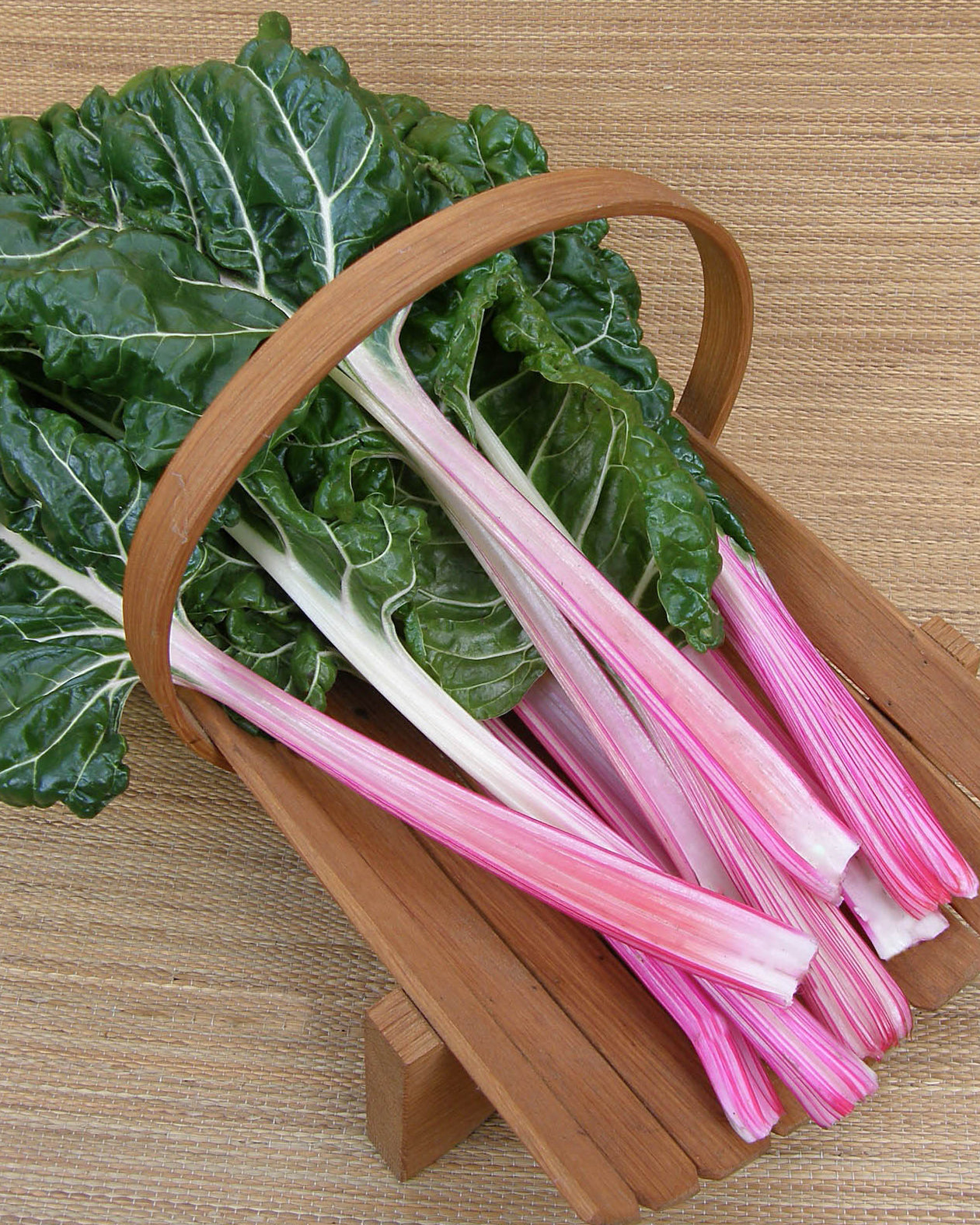 Gourmet Chard - Peppermint Stick
