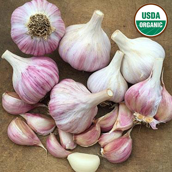 garlic cloves on table
