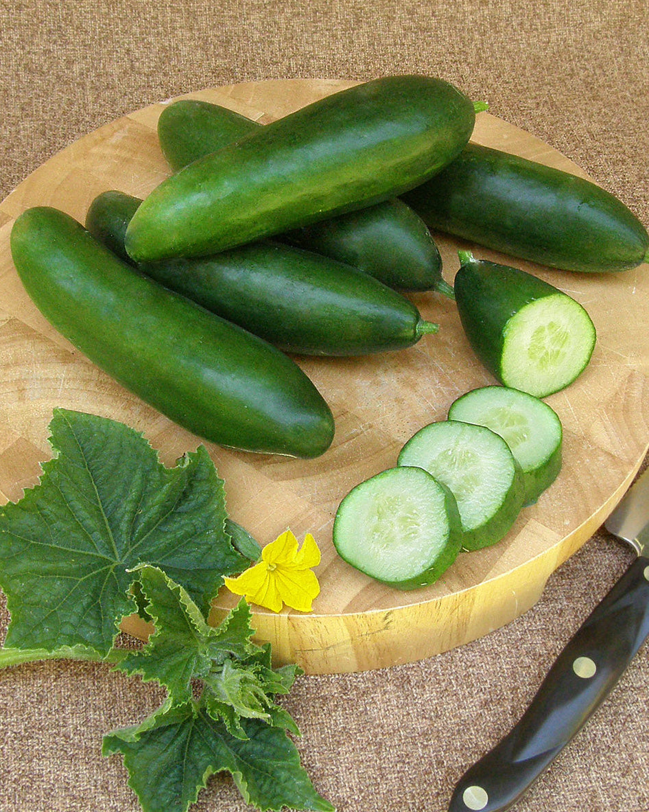 Cucumbers – Renee's Garden