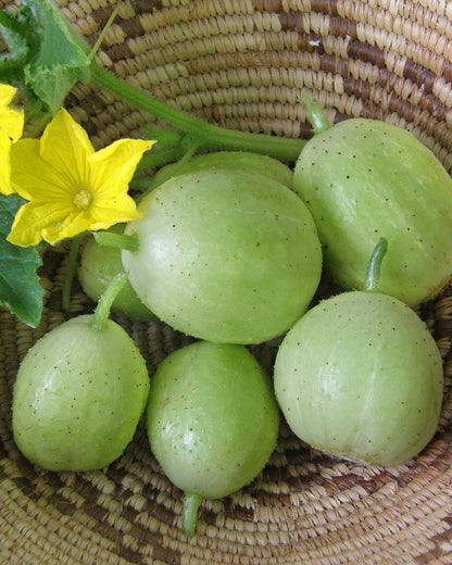 Lemon Cucumbers