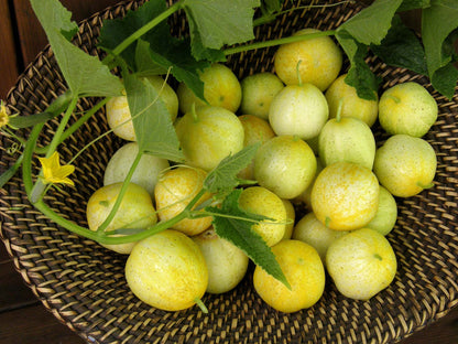 Lemon Cucumbers