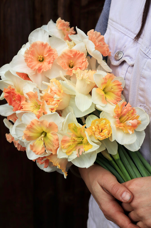 Artisan Extra Fancy Mix