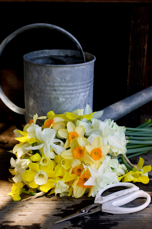 Narcissus Perfume Mix
