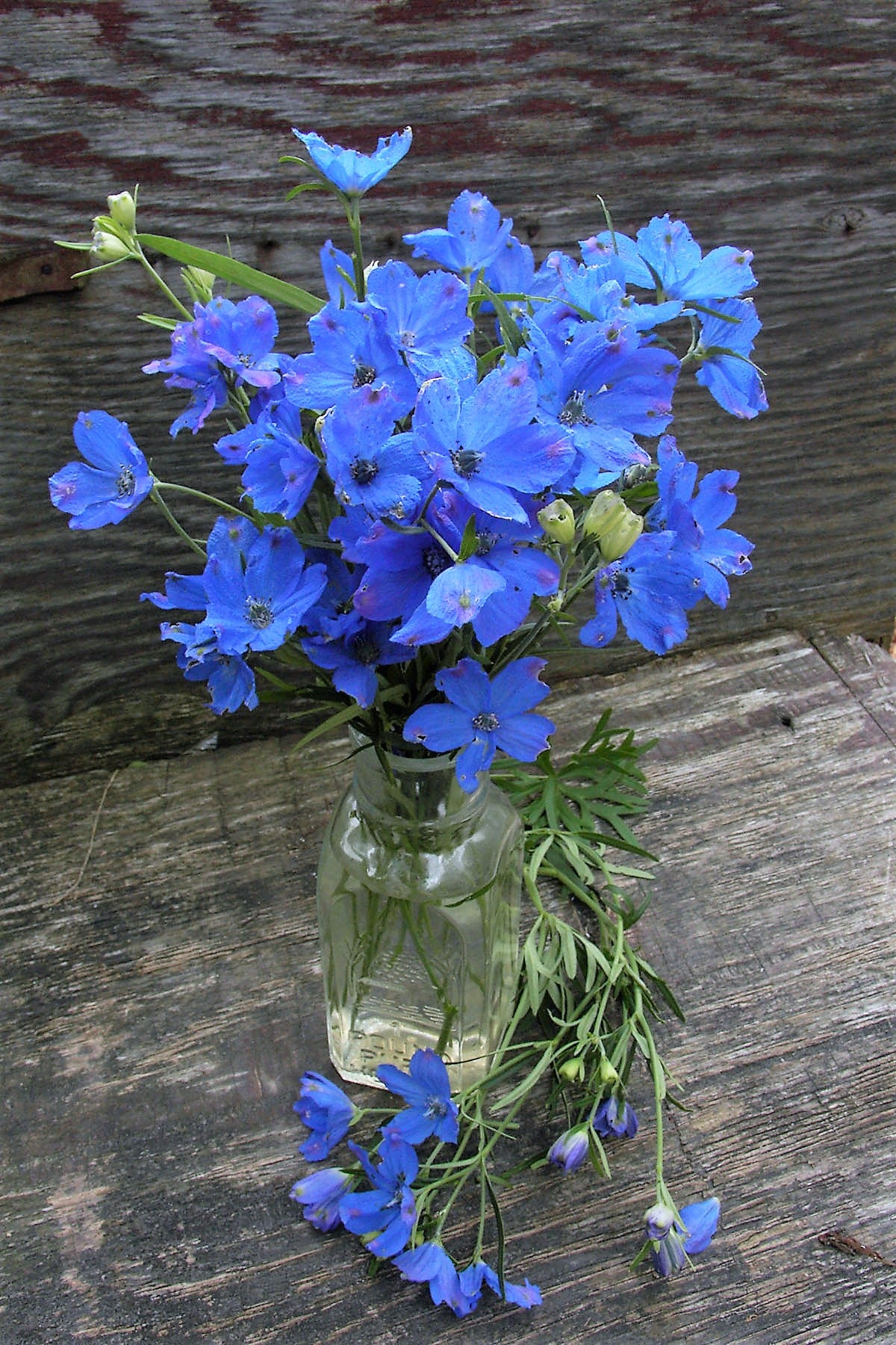 Heirloom Blue Mirror