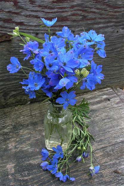 Heirloom Blue Mirror