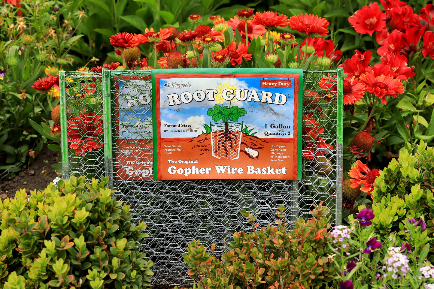 Root Guard Gopher Baskets