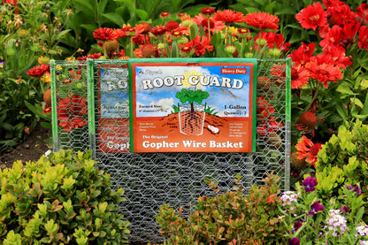Root Guard Gopher Baskets