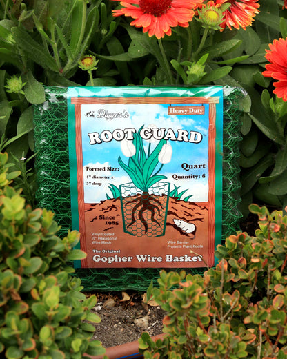 Root Guard Gopher Baskets