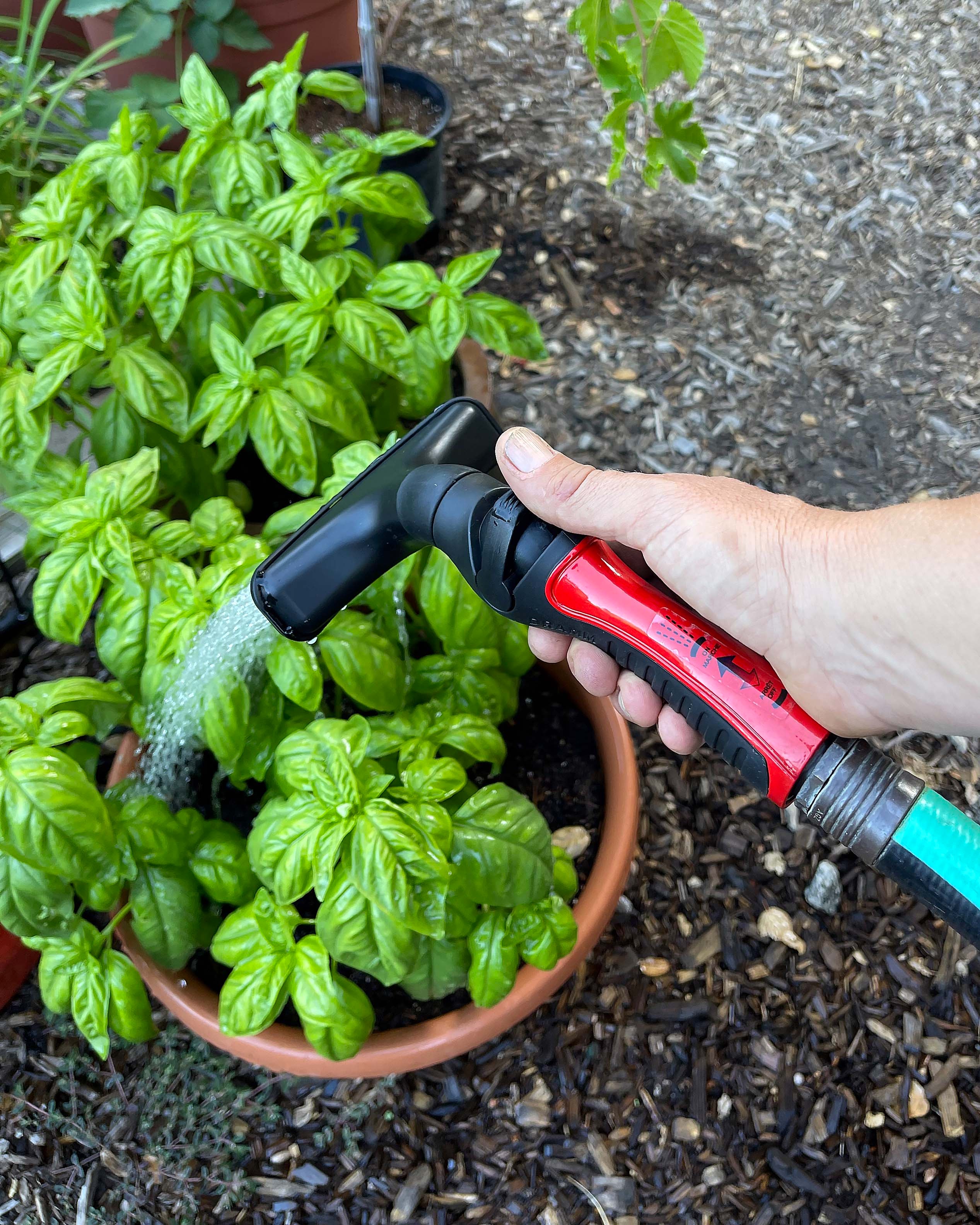 Dramm One Touch Fan Nozzle – Renee's Garden