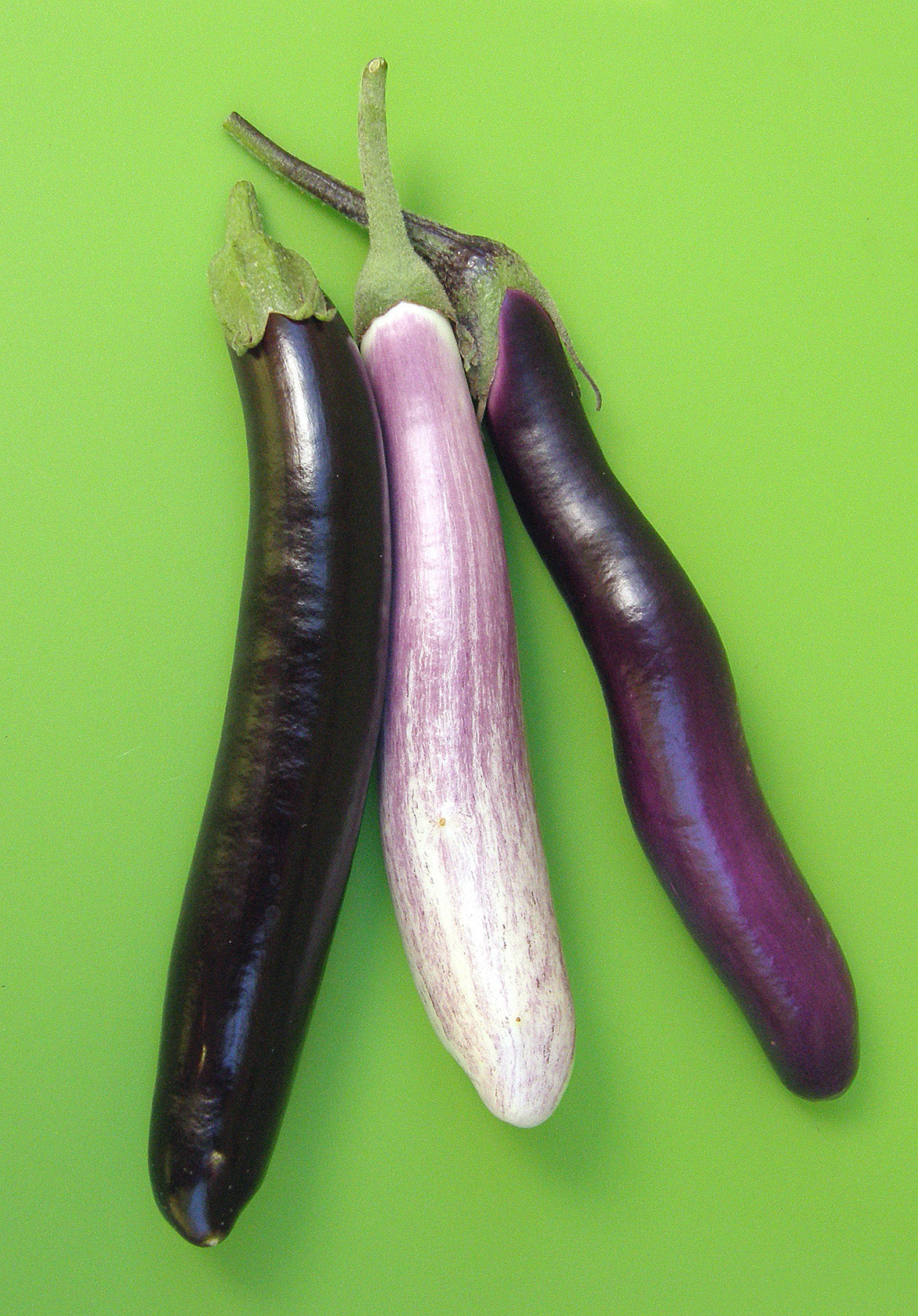 Renee's Garden Asian Specialty Eggplant Seed Mix - Thumbnail 2