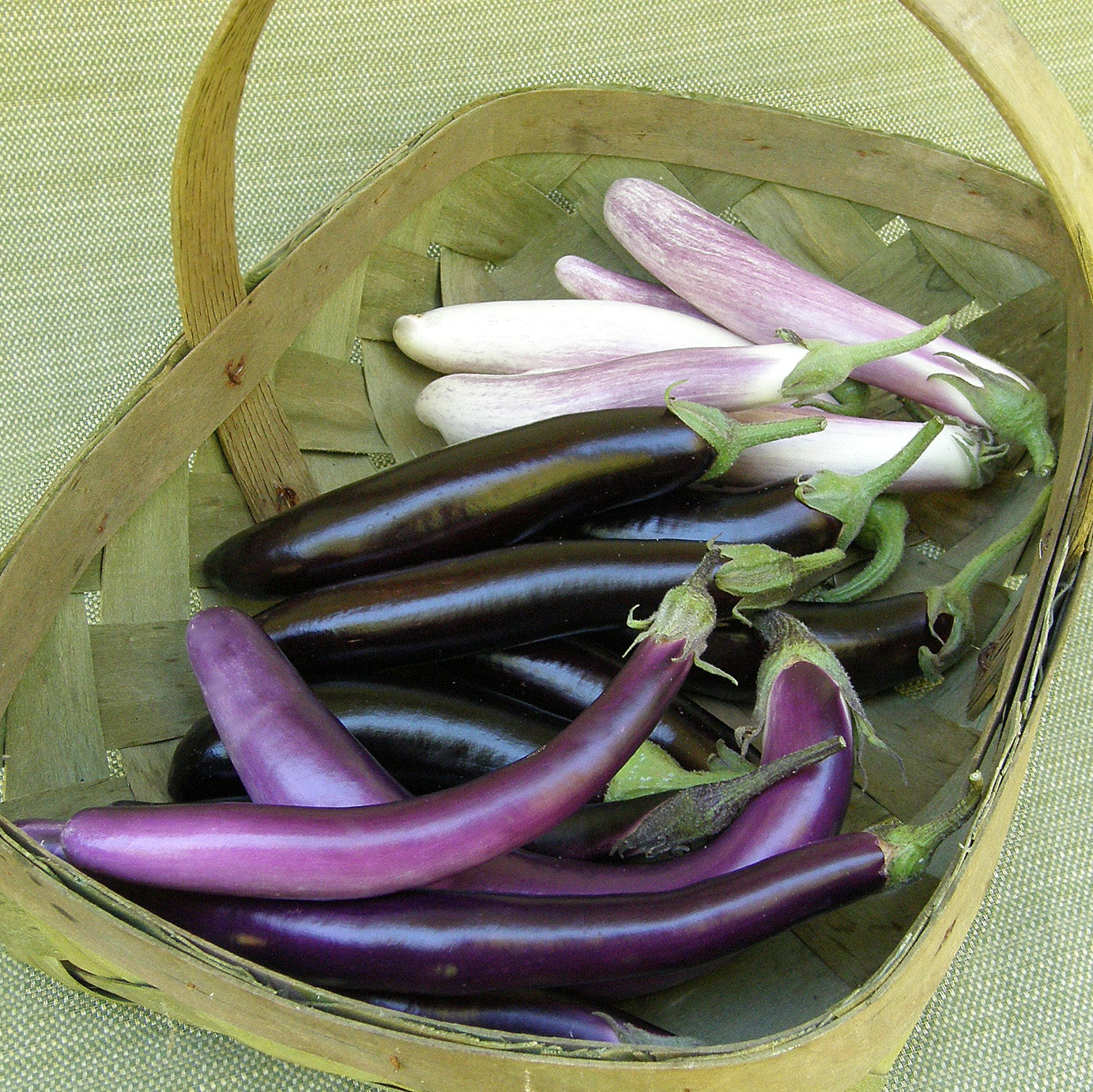 Renee's Garden Asian Specialty Eggplant Seed Mix