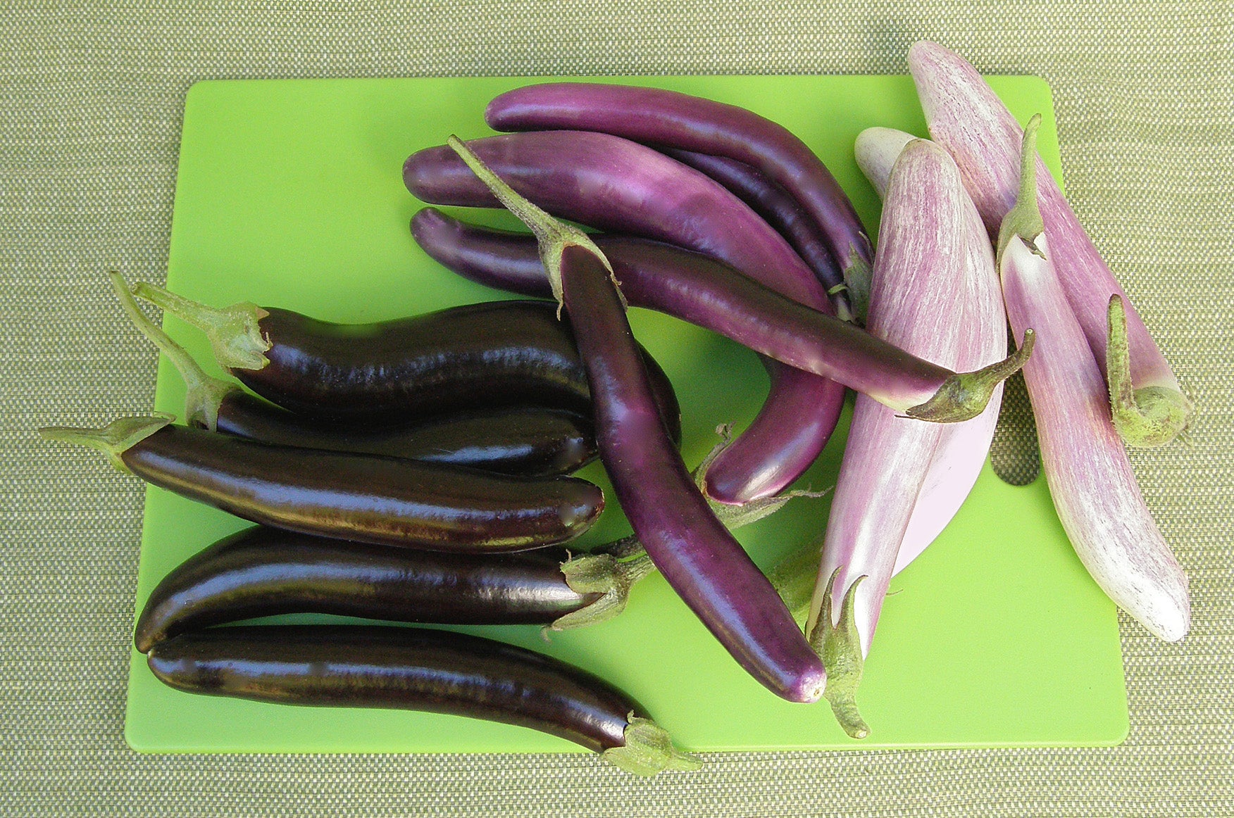 Renee's Garden Asian Specialty Eggplant Seed Mix - Thumbnail 3