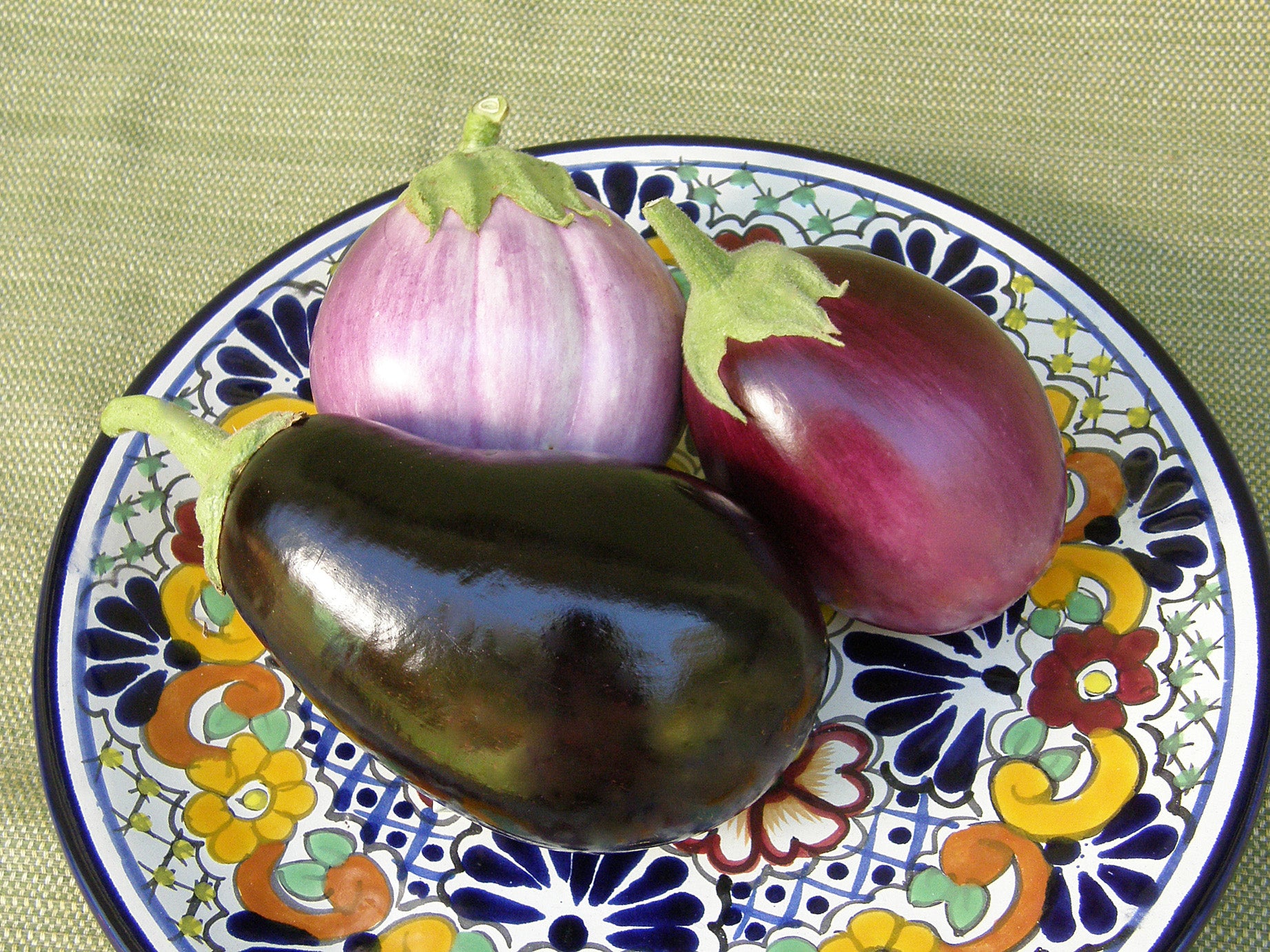 Italian Trio' Specialty Eggplants – Renee's Garden