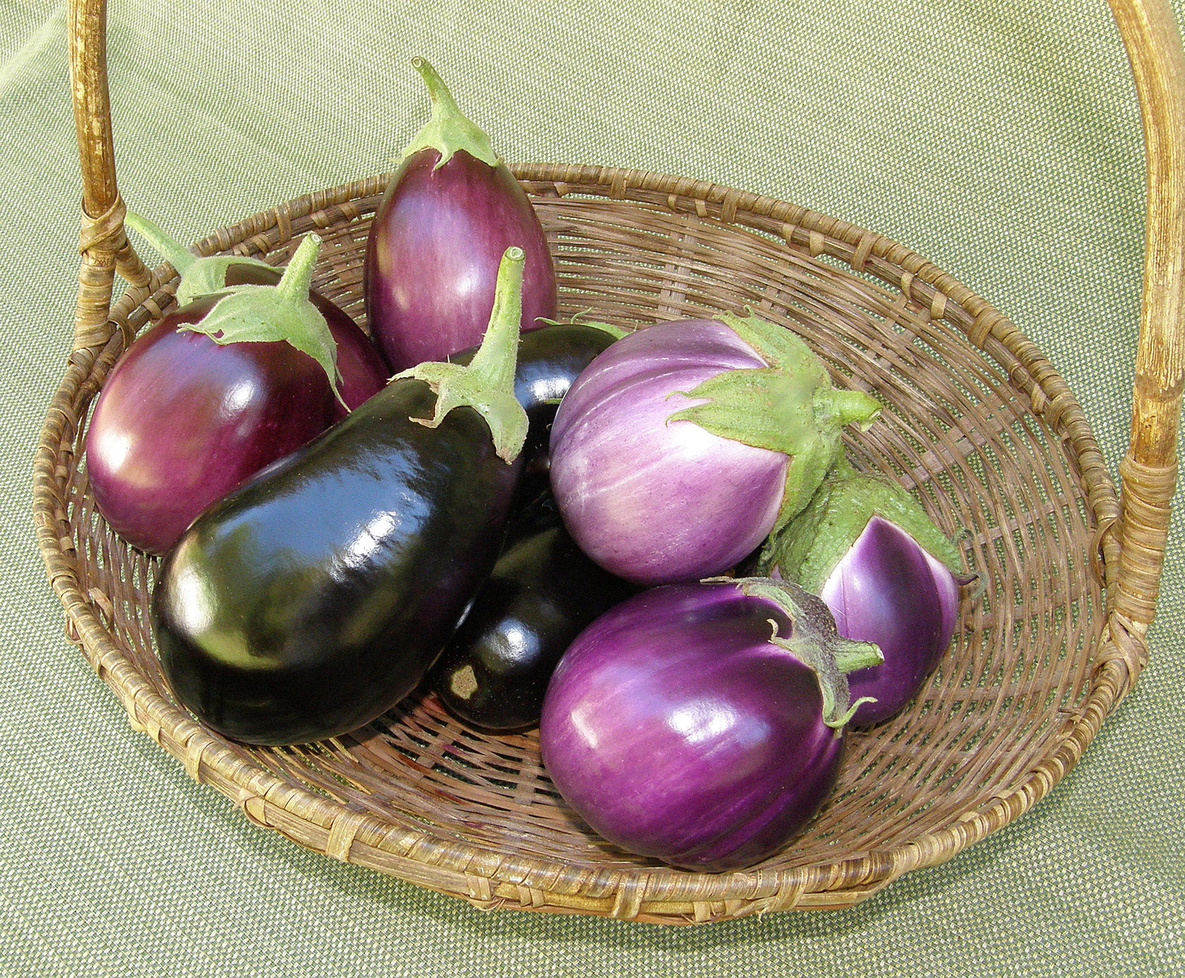 Italian Trio' Specialty Eggplants – Renee's Garden