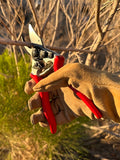Felco Hand Pruners