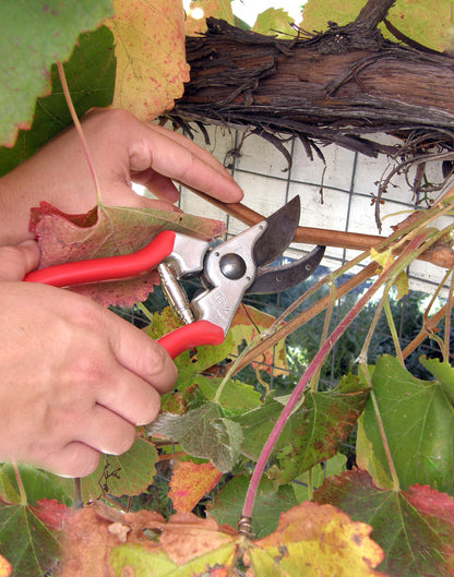 Felco Hand Pruners