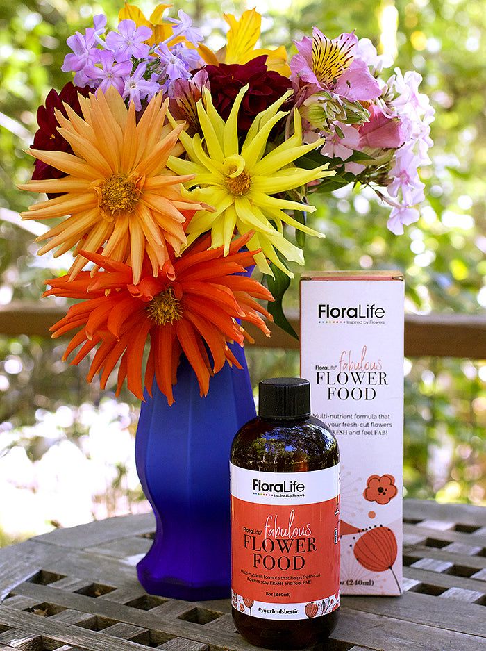 FloraLife Liquid Flower Food – Renee's Garden