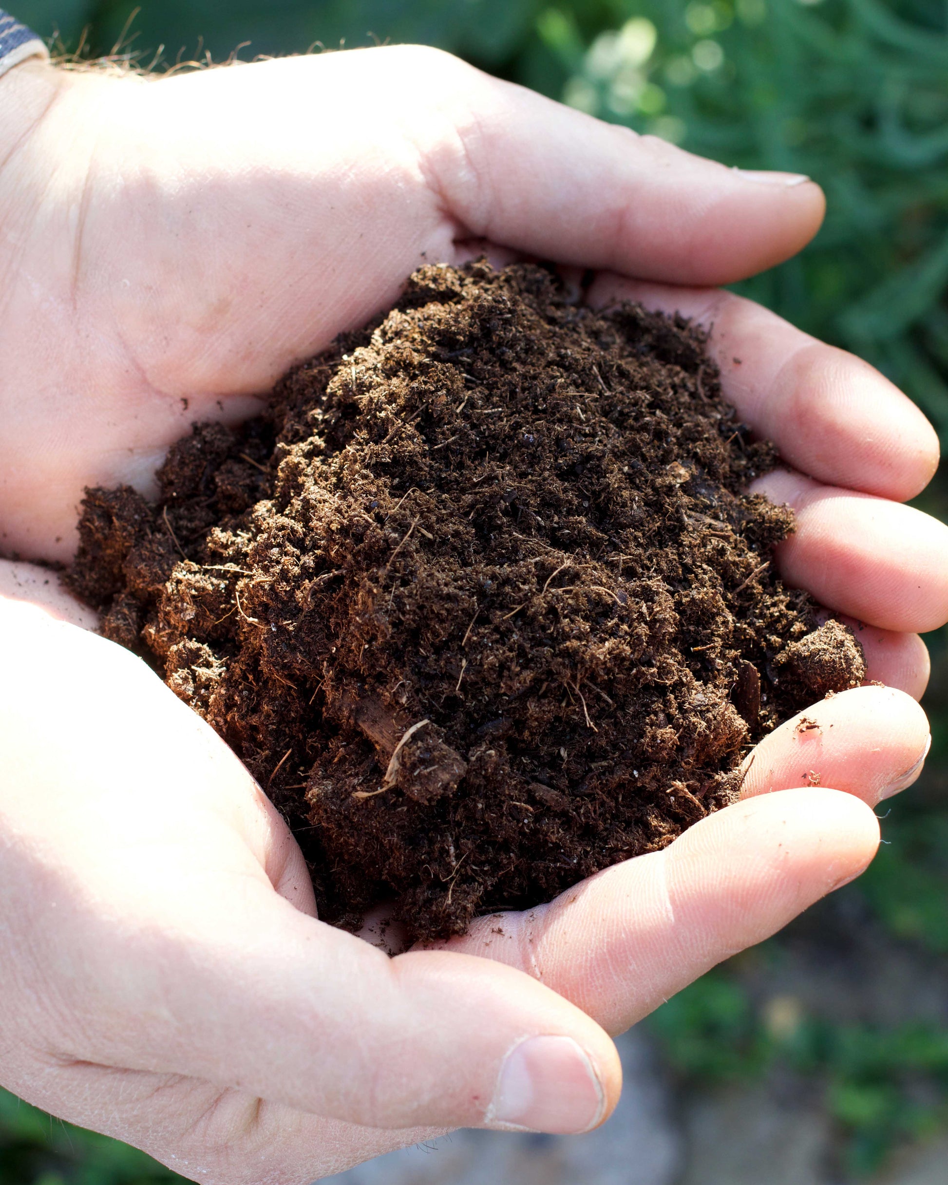 fort vee compost-based potting mix Fort Vee Seed Starting Mix – Renee's Garden