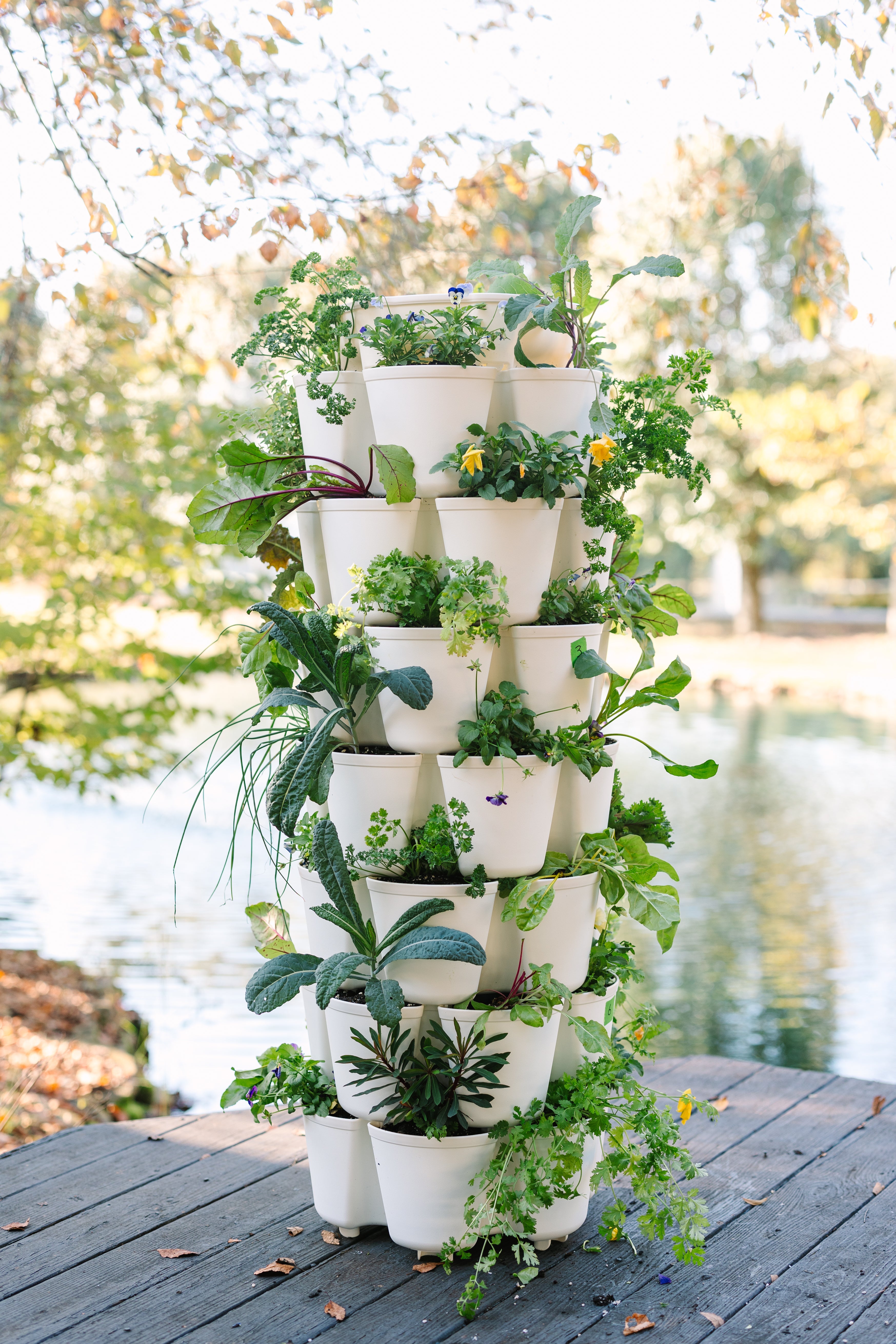 GreenStalk 7-Tier Vertical Planter – Renee's Garden