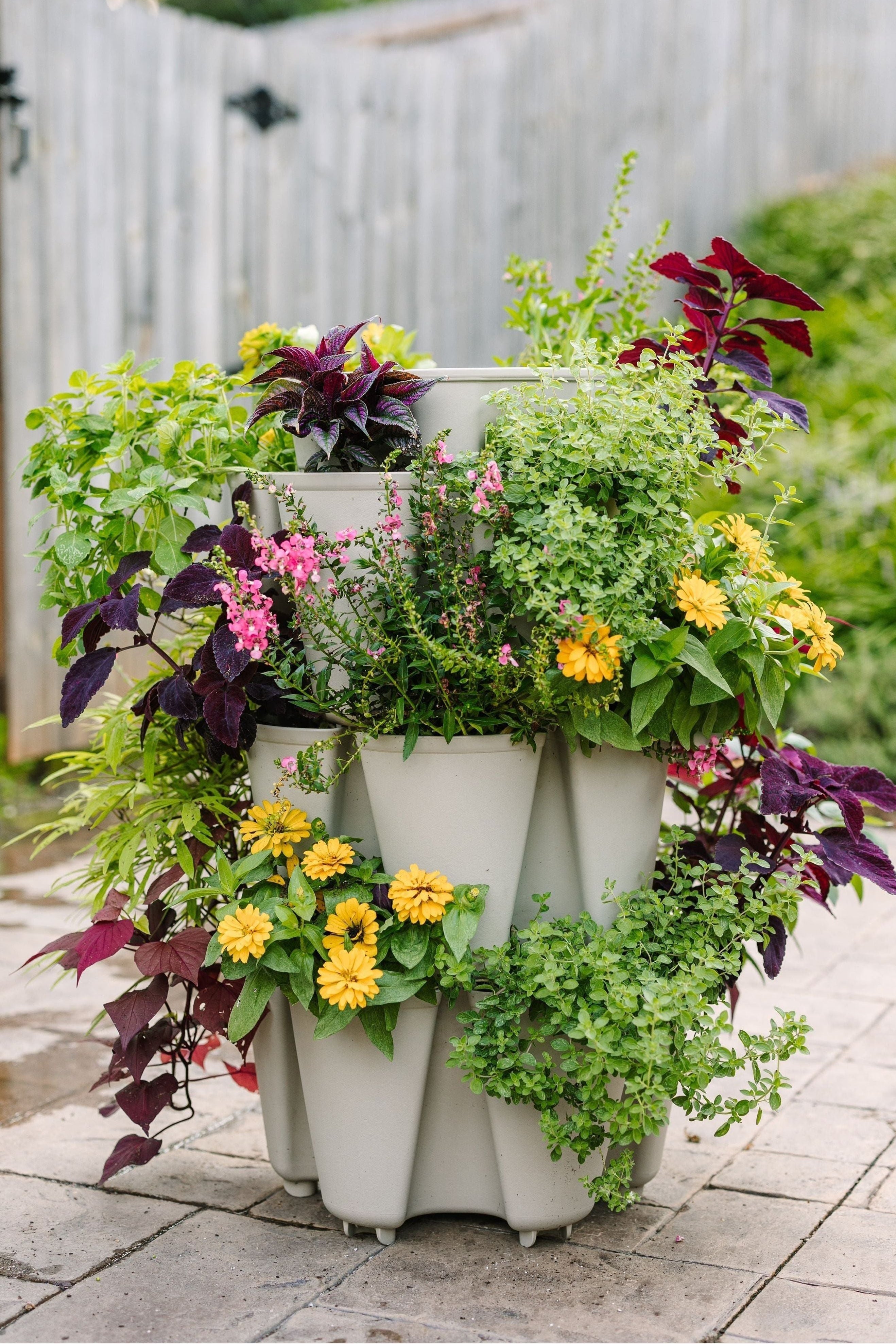 GreenStalk 3-Tier Vertical Planter – Renee's Garden