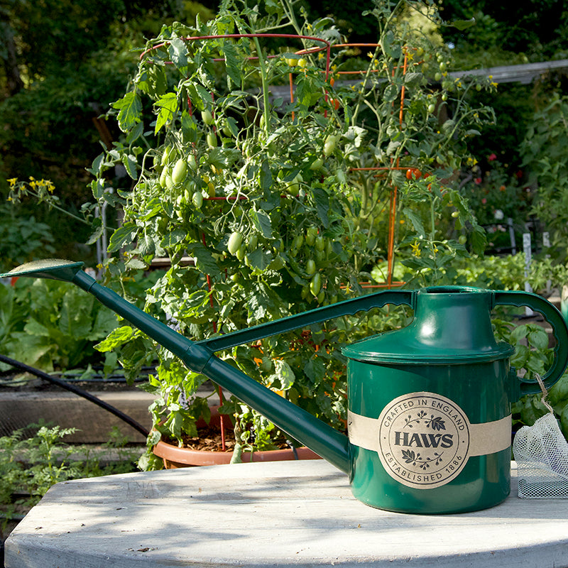 Haws 1 8 Gallon Classic Watering Can Renee s Garden Haws 1 8 gallon classic watering can renee s garden