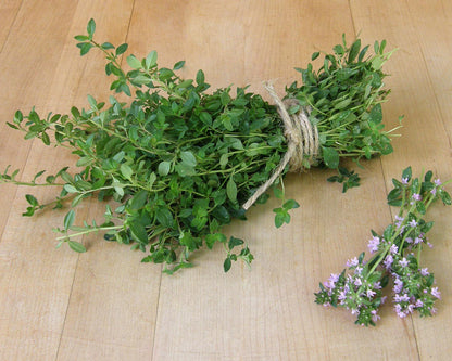 Kitchen Herbs - Creeping Thyme