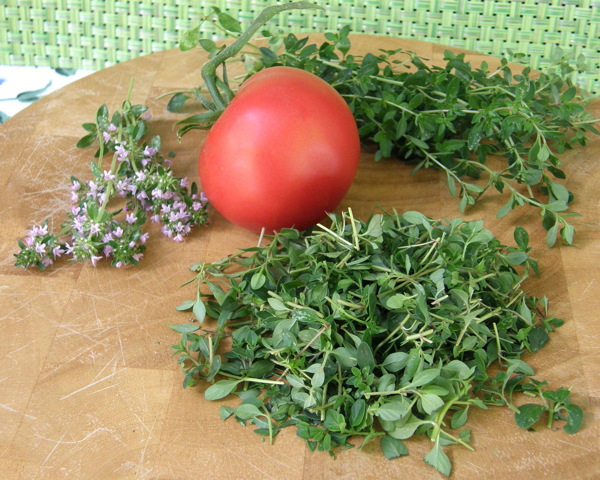 Kitchen Herbs - Creeping Thyme