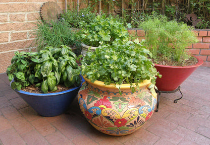 plant pots for herbs The Container Herb Garden' Easy To Grow Collection – Renee's Garden