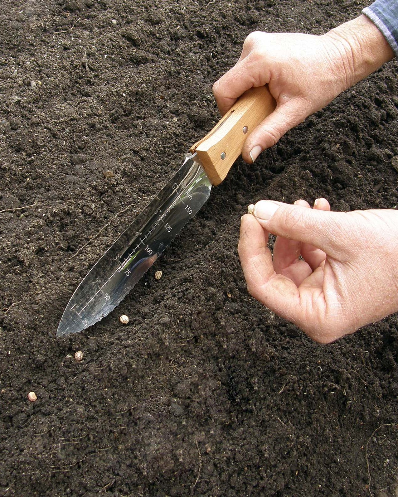 Stainless Steel Hori-Hori Digging Tool – Renee's Garden