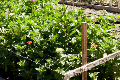Hortonova Trellis Netting
