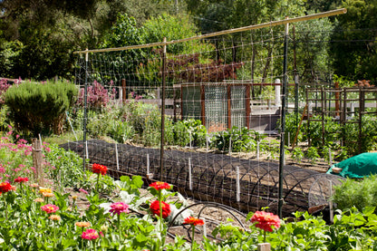 Hortonova Trellis Netting