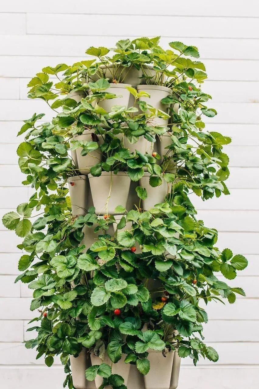 GreenStalk 7-Tier Vertical Planter