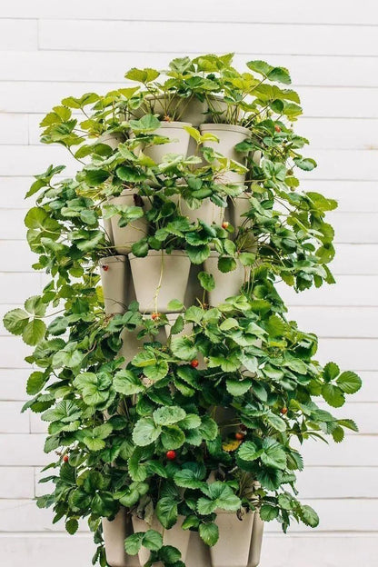 GreenStalk 7-Tier Vertical Planter