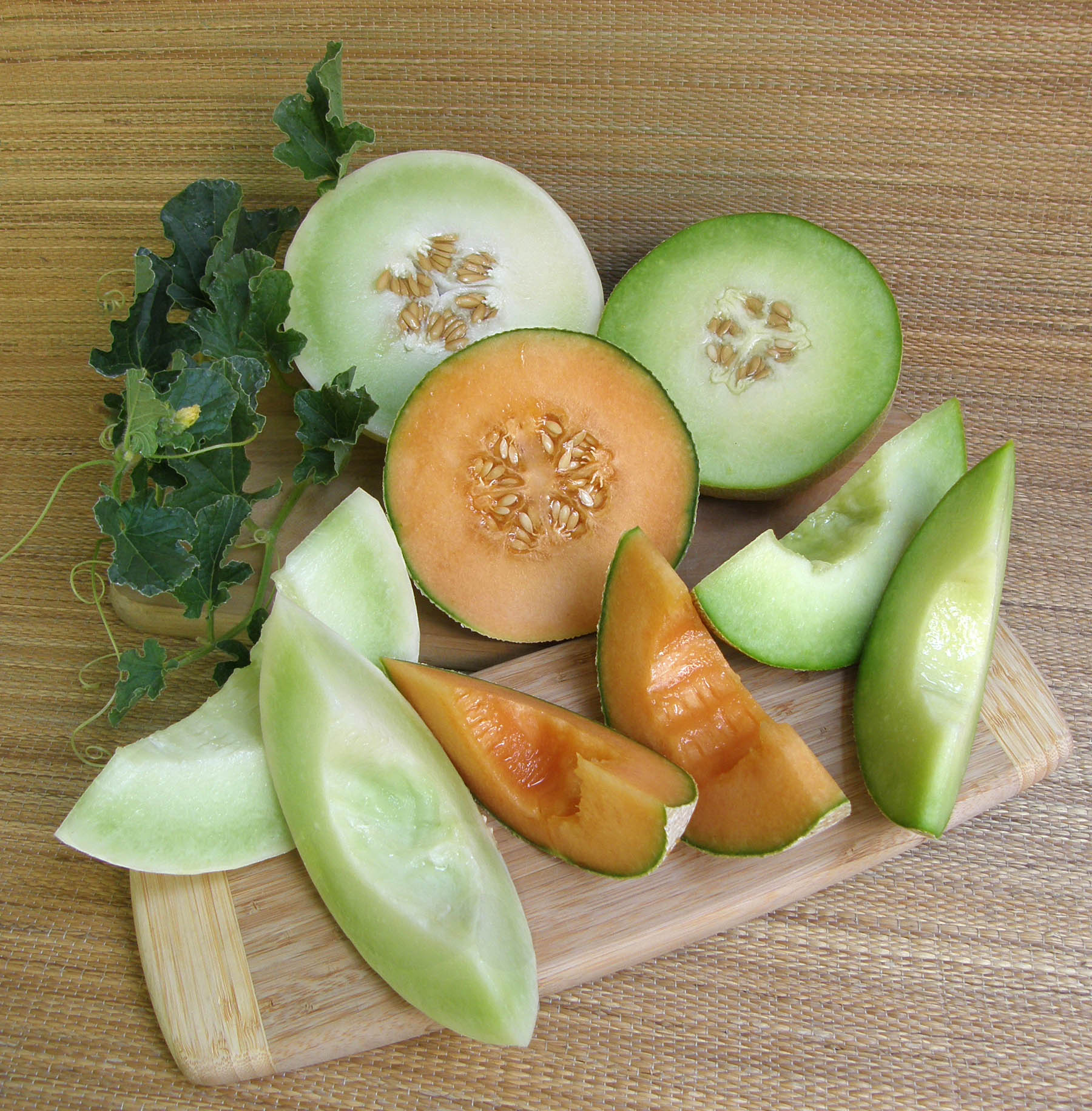 Three Melons Melons – Renee's Garden