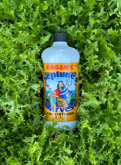 fish based plant fertilizer Neptune's Harvest Hydrolyzed Fish Fertilizer 2-4-1 18 oz