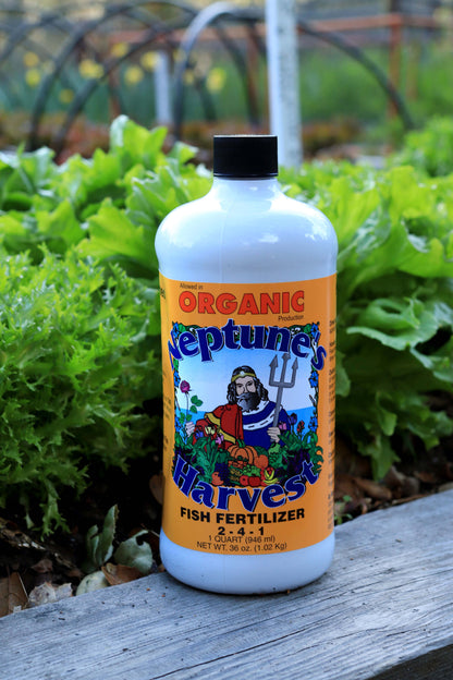 seaweed spray for garden Neptune's Harvest Hydrolyzed Fish Fertilizer 2-4-1 – Renee's Garden