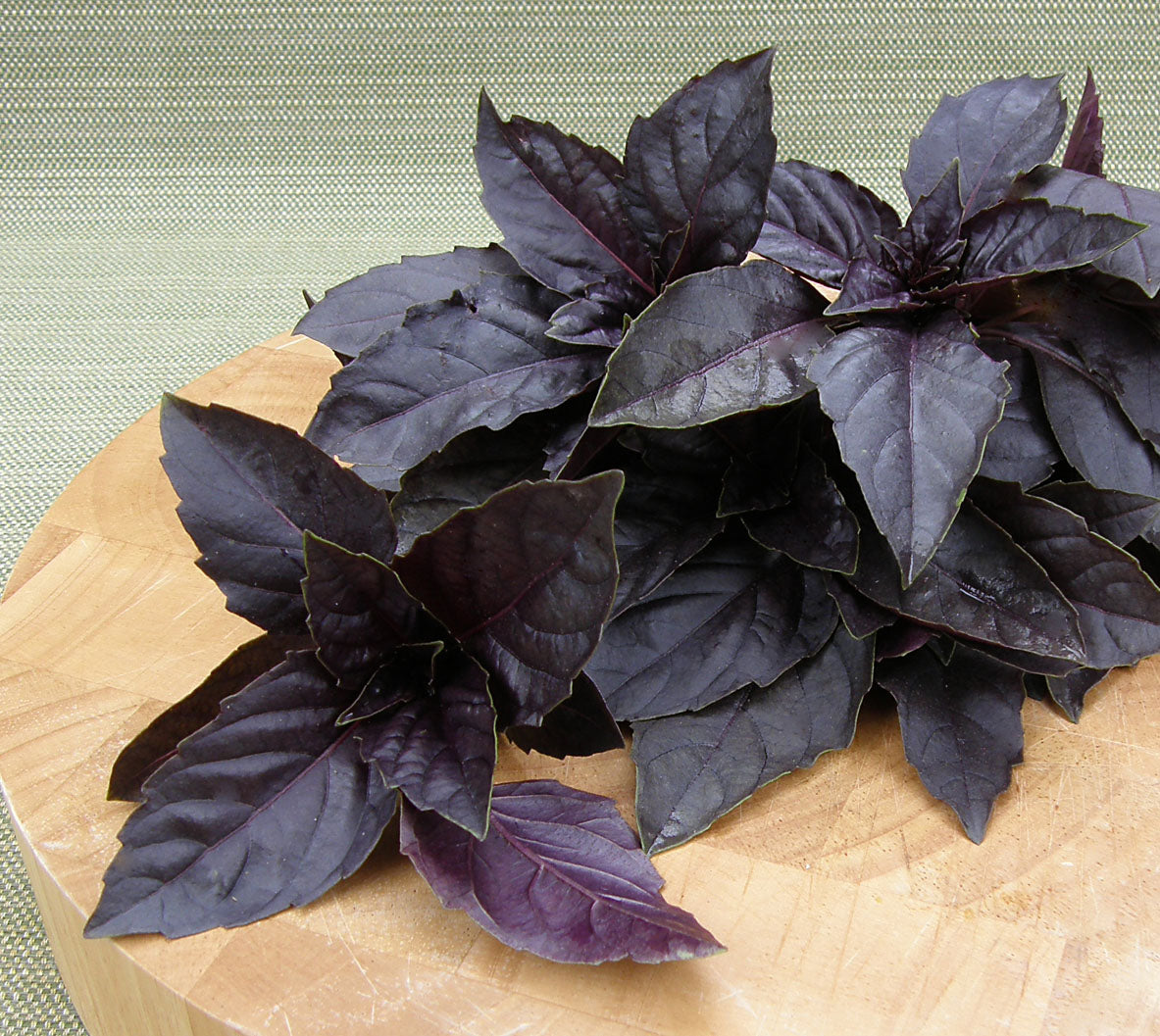 Purple Opal' Heirloom Basil – Renee's Garden