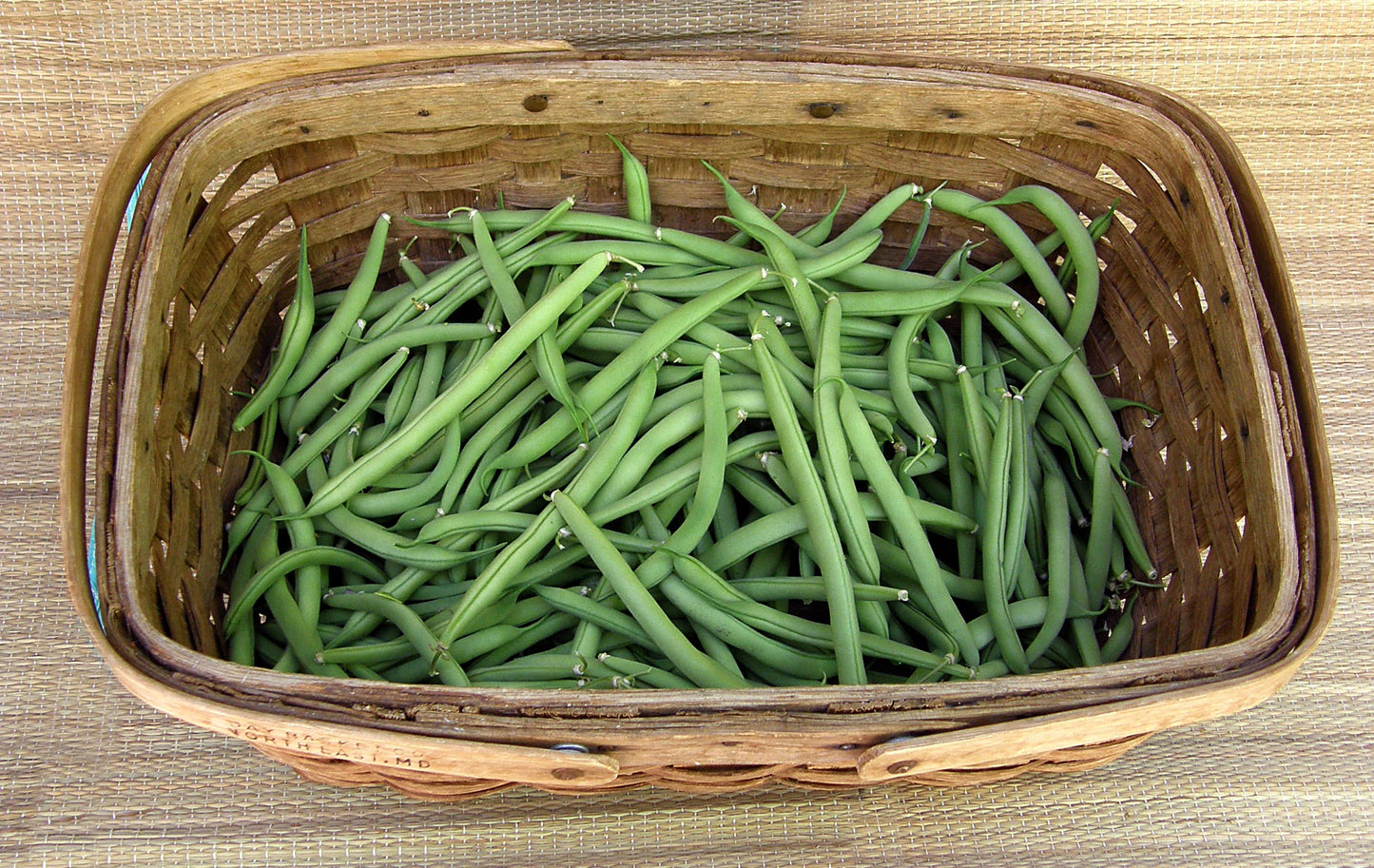 Heirloom Bush Beans - Provider Organic
