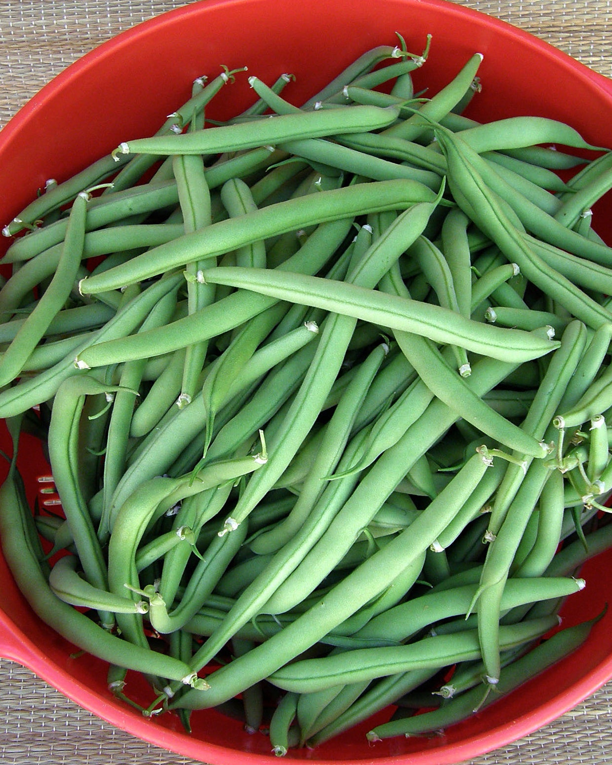 Heirloom Bush Beans - Provider Organic
