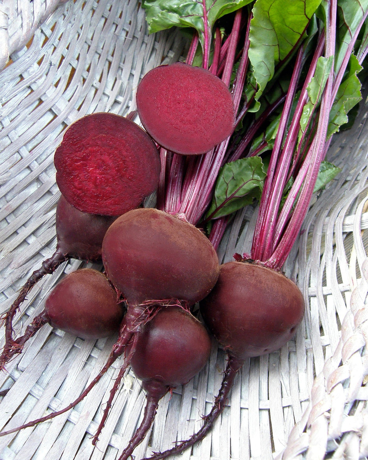 Dutch Beets - Red Baron Organic