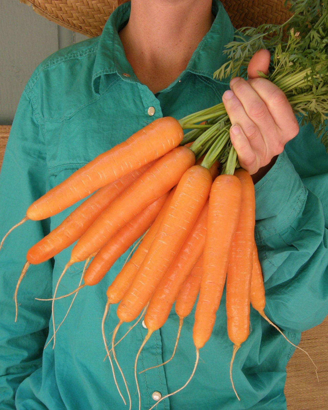 Snacking Carrots - Rotild Organic